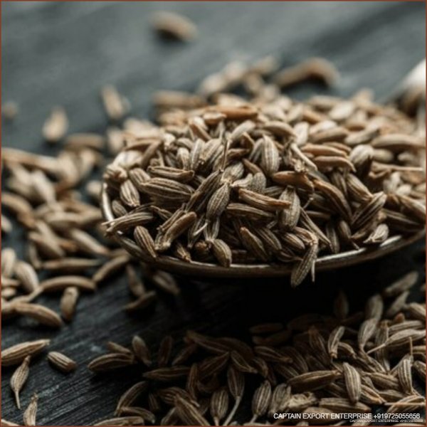 Dariyapar Blog Post - Spices