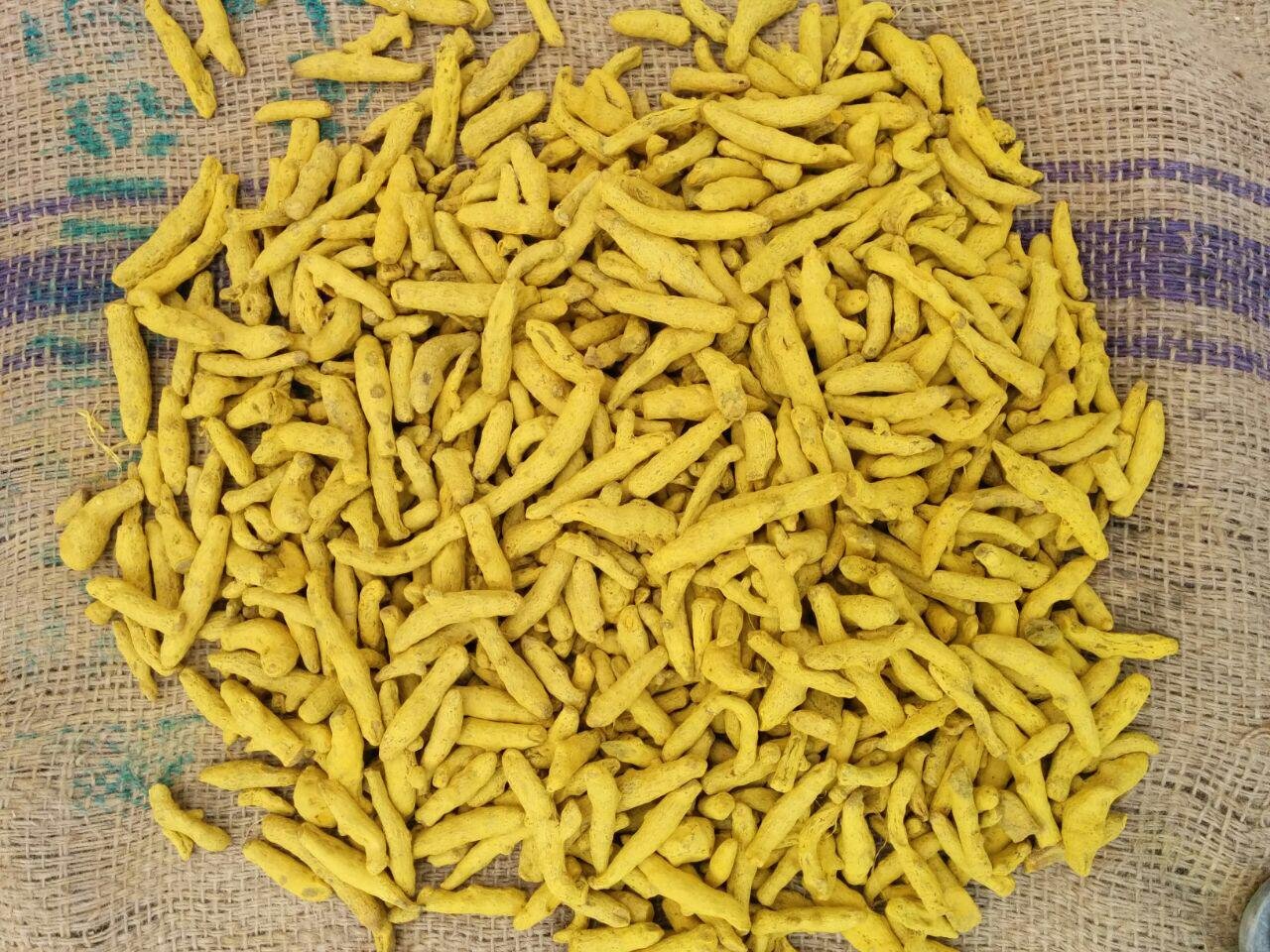 Turmeric Finger GoodGrade