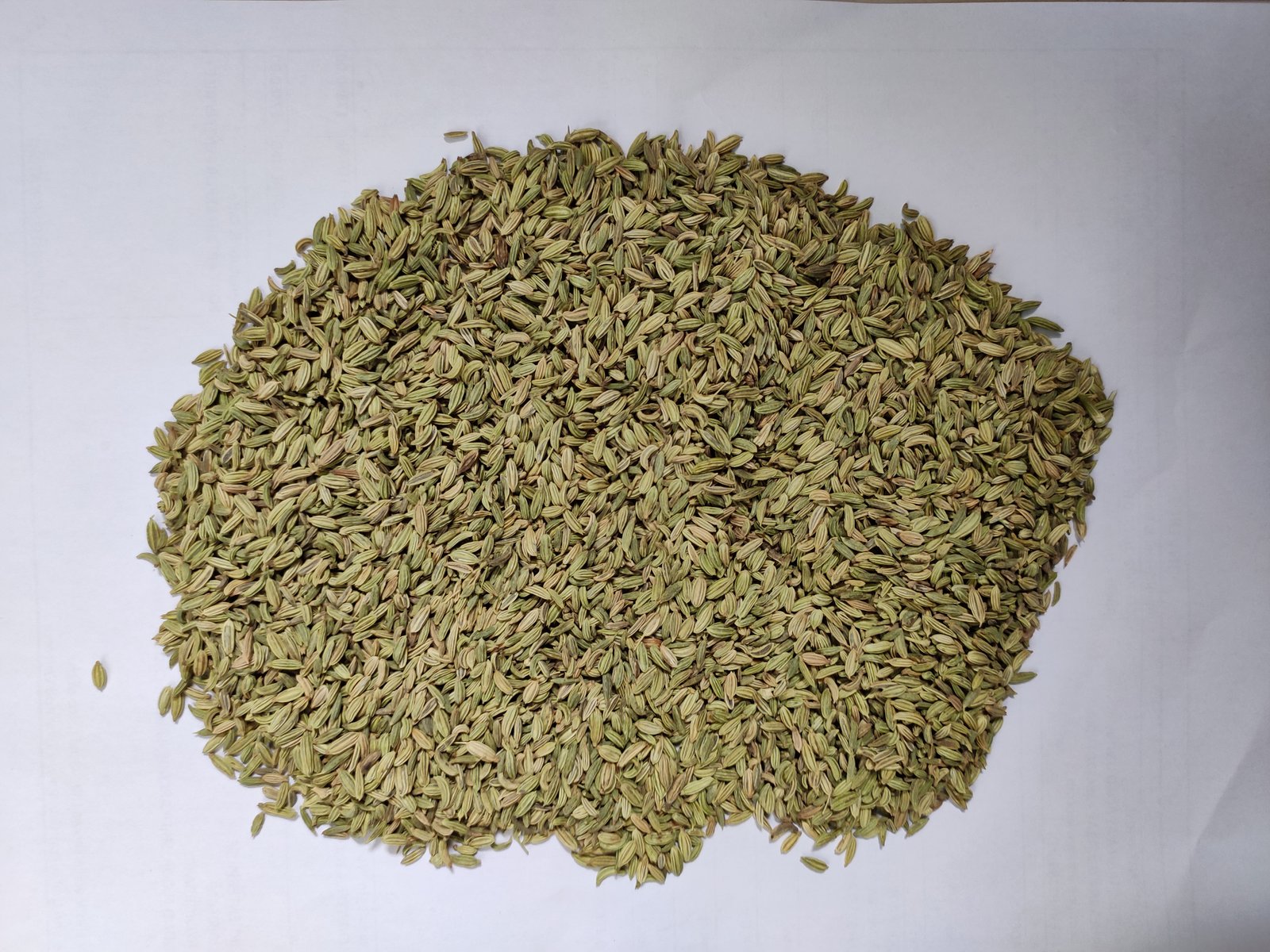 Fennel Seeds ( Europe ) 15 Kg pp bags