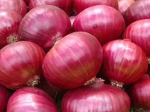 Onion 55mm+  18 kg mesh bag