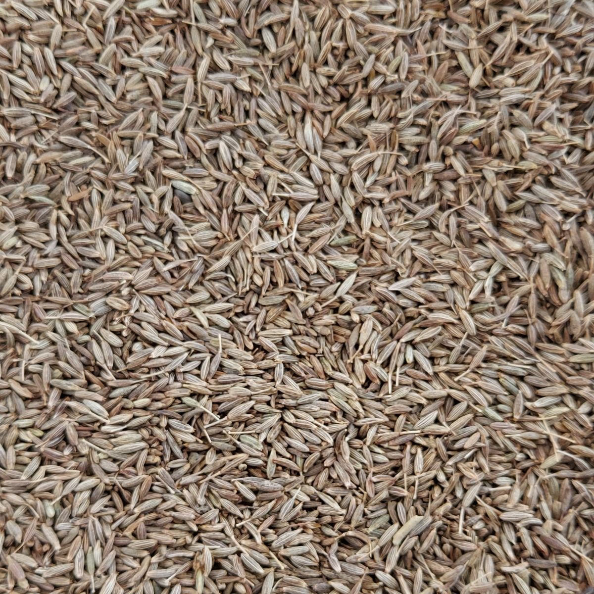 Cumin Seeds