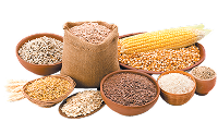 Grains and Flours
